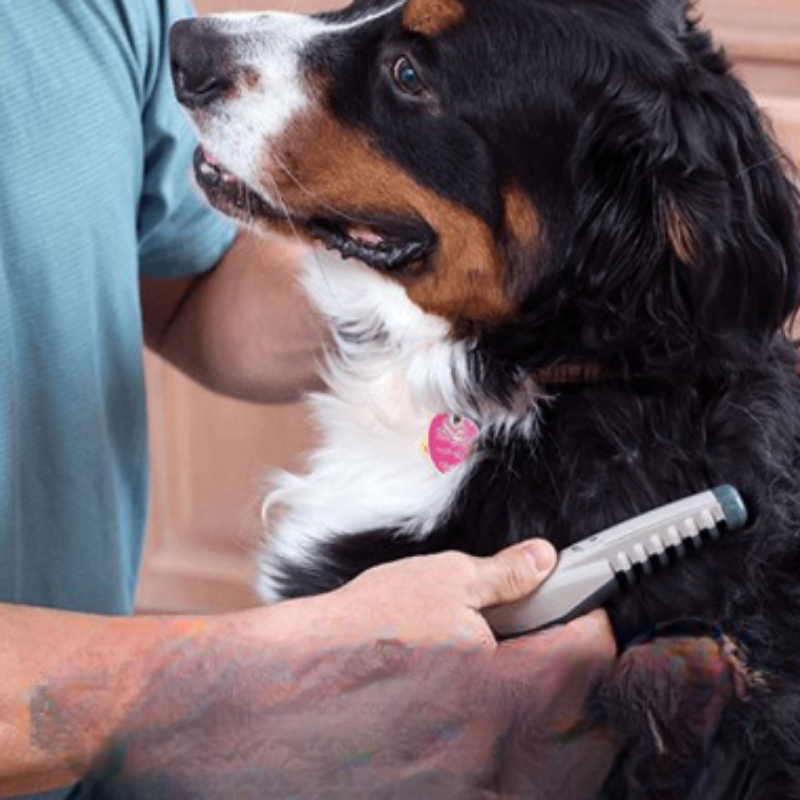 Knot Out Pet Grooming Comb
