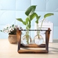 Glass Hydroponics Table Planter Stand